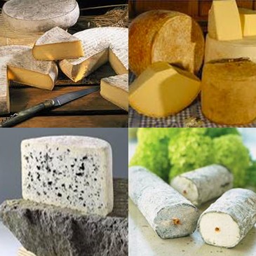 Variety of cheeses
